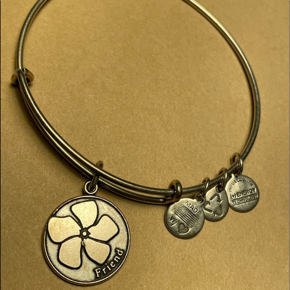 Alex and Ani Silver Tone Friend Bracelet